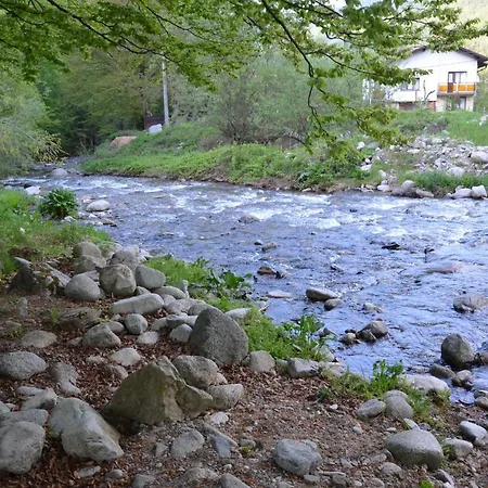 даяна * Ribarica