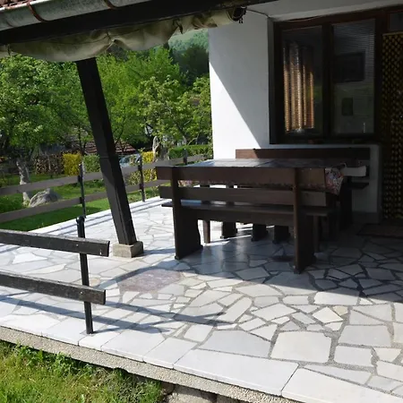 даяна Ribarica