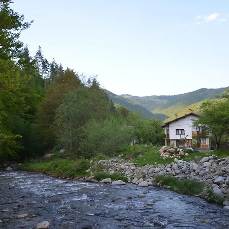 даяна Villa Ribarica