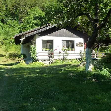 даяна * Рибарица