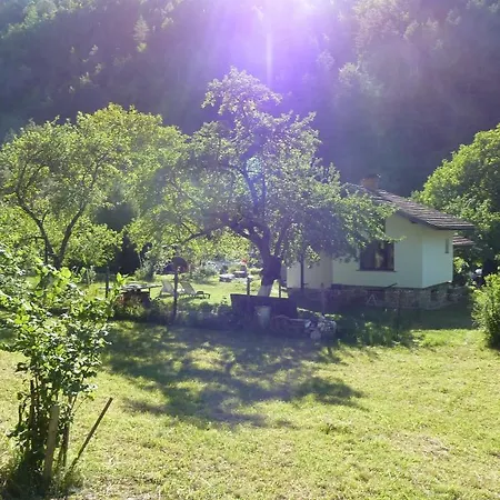 даяна Villa Ribarica