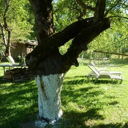 даяна Villa Ribarica