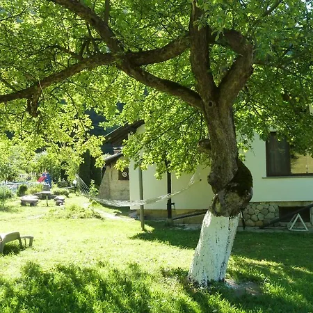 Villa даяна *