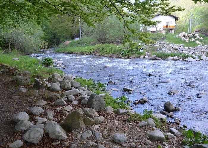 даяна * Ribarica