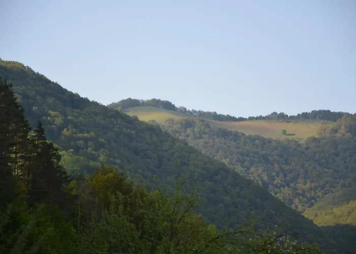 Willa даяна Ribarica