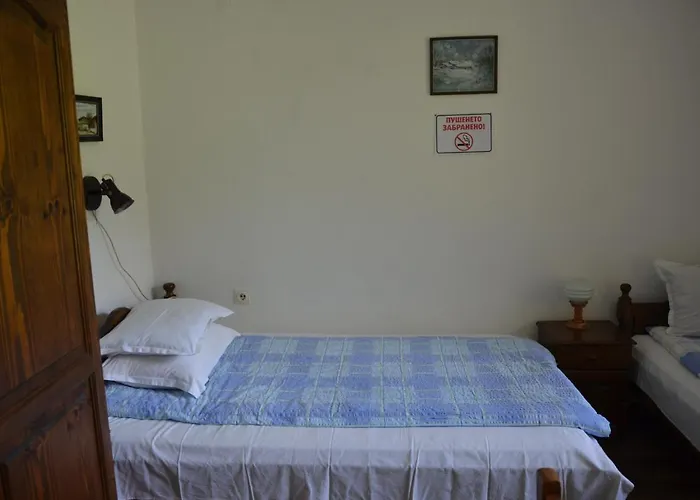 даяна Луксозна вила *