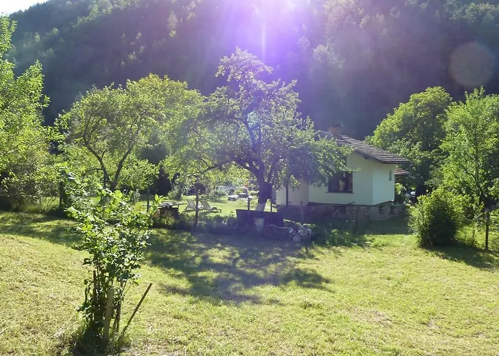 даяна Willa Ribarica