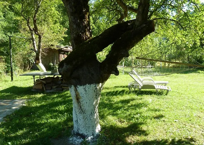 даяна Willa Ribarica